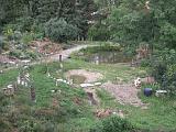 Garten der nachbarlichen Kräuterfrau